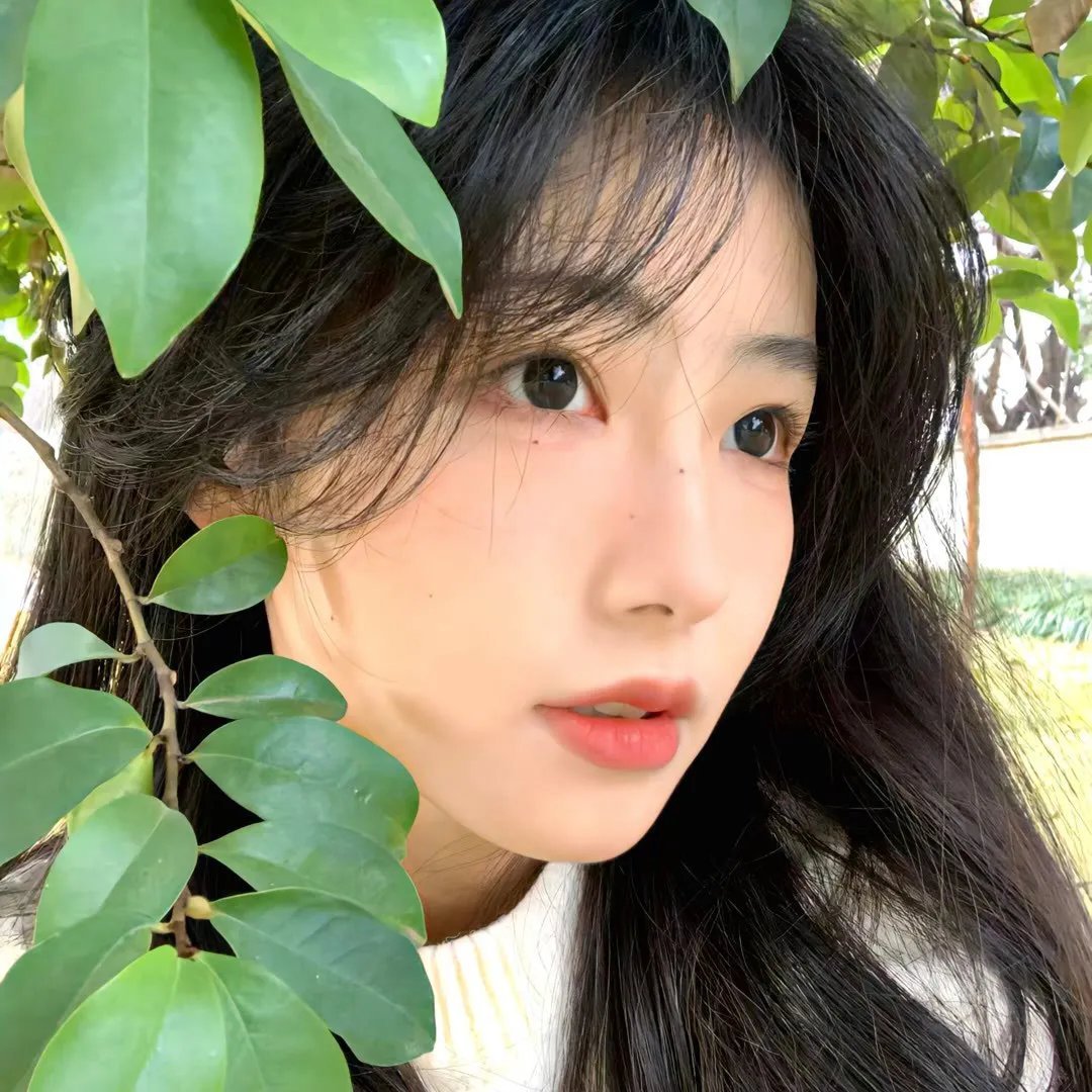 纽约娃娃